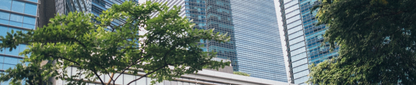 ISN Vietnamhousing｜About ISN